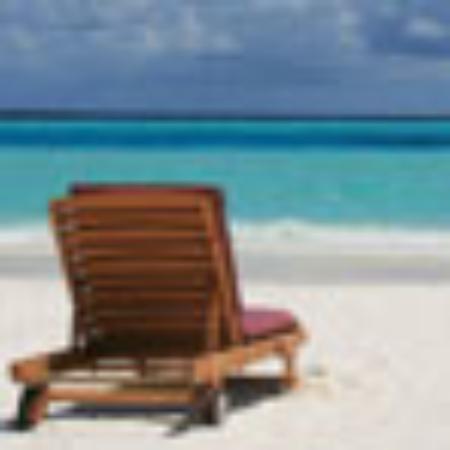 Secret Garden Jungle Restaurant